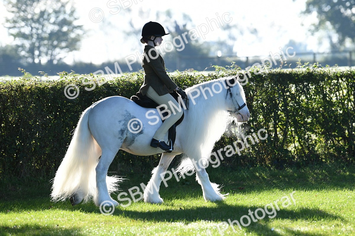 SBM_33858 - S16 - Condition & Turnout - Ridden