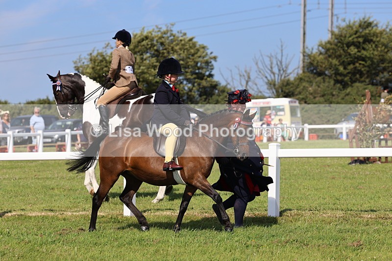 IMG_1714 - Class 31: Lead Rein SP/SHP