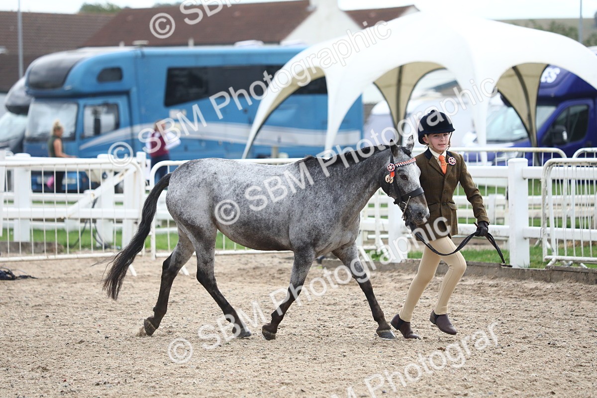 SBM_19057