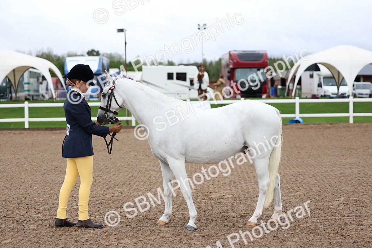SBM_00245 - Class 13 - Young Handler