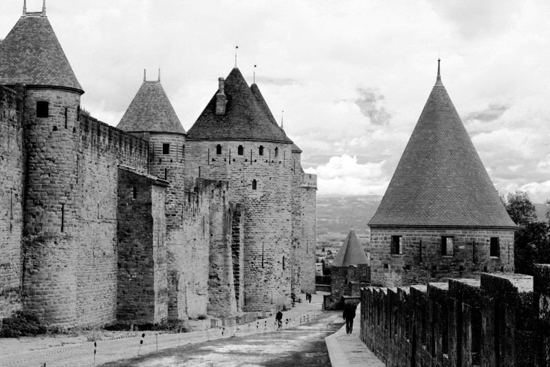 Cold day in Carcassonne - European Landscapes