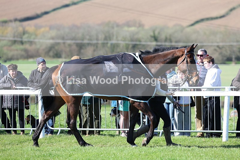 3E7A5625 - Race 6: Maiden (NWFAA)