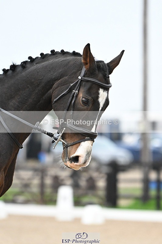 241103-100110-00253 - Intro 3 - 9.40 to 10.40