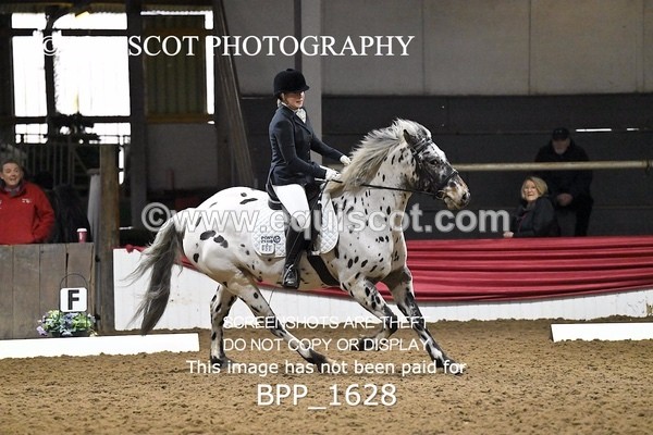BPP_1628 - PC GRASSROOTS DRESSAGE