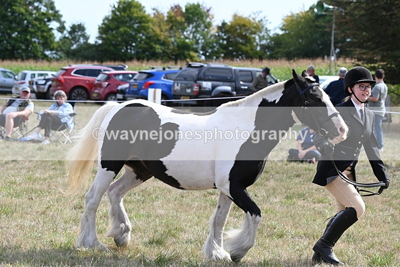 WJ6_6638 - Class 20 In-hand Cob