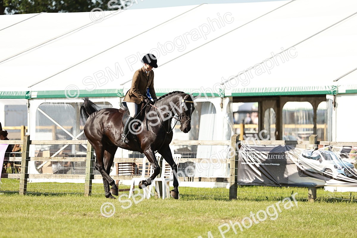 SBM_19342 - Class 115-116 - LIHS BSHA Rising Star Working Hunter & Show Horse