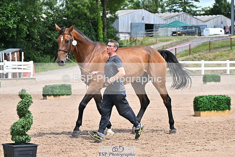 240718A-105312-01698 - Trot Up 1pm to 2pm