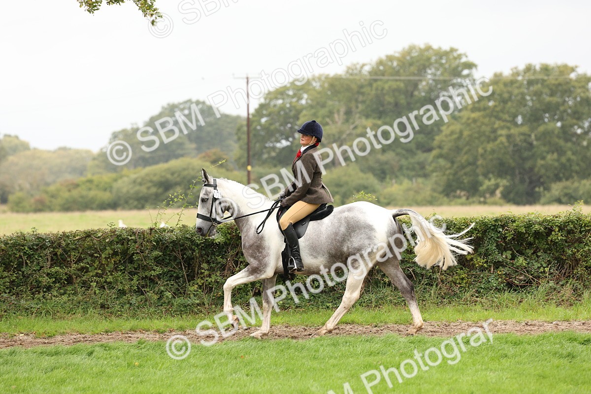 SBM_69895 - S68 - Other Coloured Horse Ridden