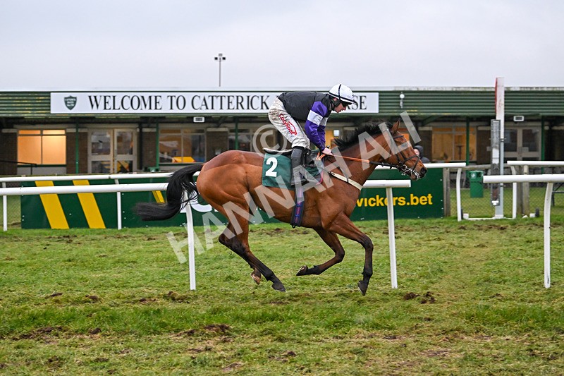 310125-Race 7-Balcomie Breeze-6035 - Race 7