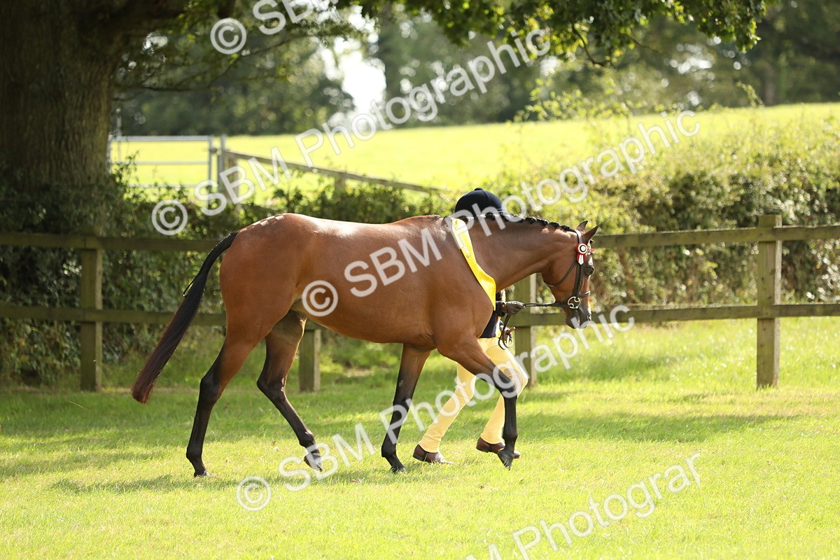 SBM_66293 - In Hand Pony & Youngstock Supreme Championship