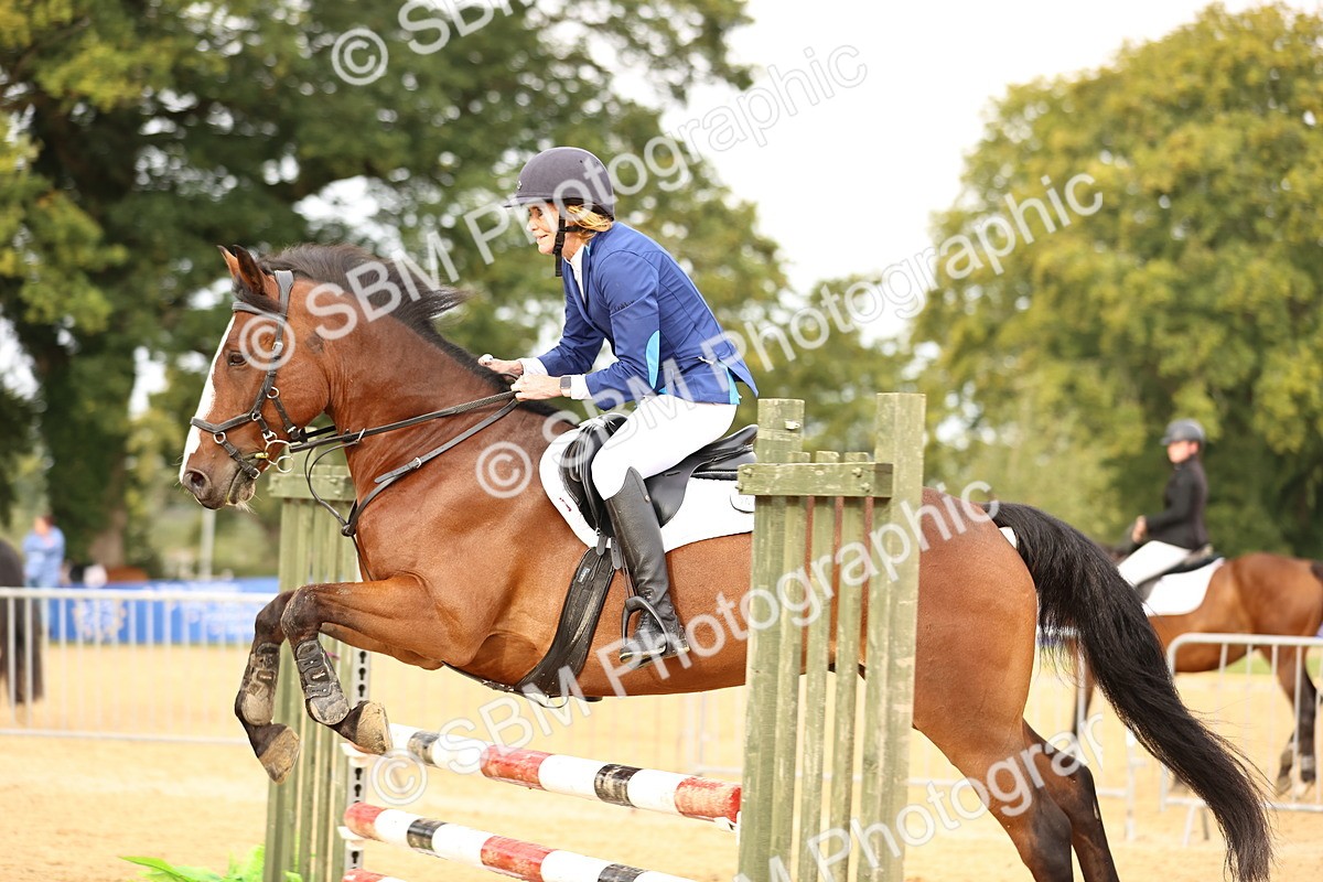SBM_58242 - J41 - Grand Tour Horse & Pony 95cm