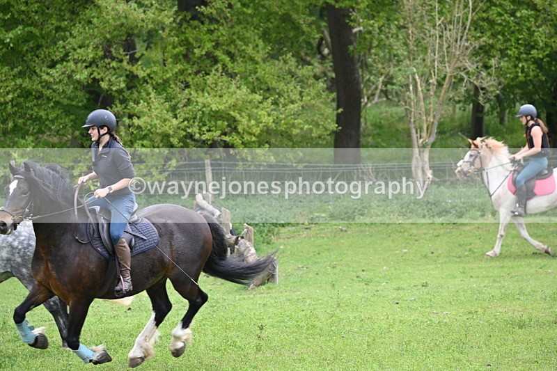 WJ6_3333 - A camera