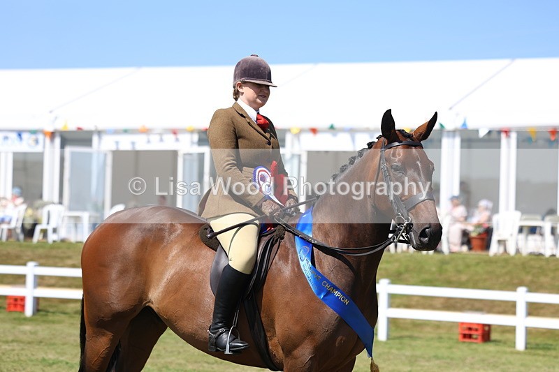 3E7A7624 - Rising Star Ridden Championship