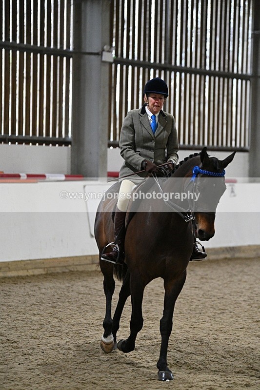 WJ7_4291 - Class 17 Ridden Cob