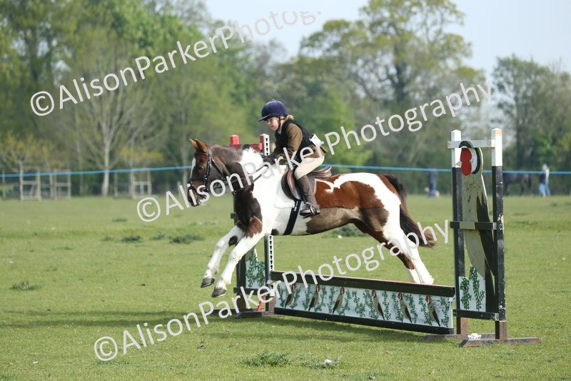20260426-0064 - Class 13 - Rookie Jumping 50cm