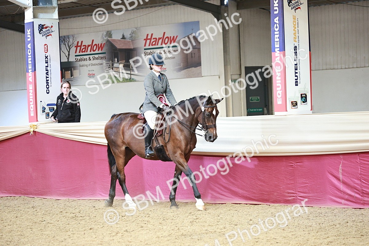 SBM_08627 - Regional Ridden Champ