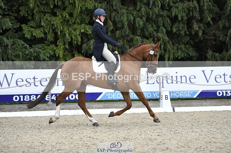 230525-144310-03167 - 323-CHESTNUT_BOBBY-Molly_Fletcher-WEDTrotUp+DR