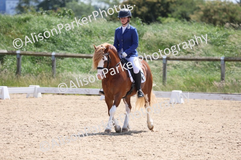20250614-0751 - Class 4 - Novice 2