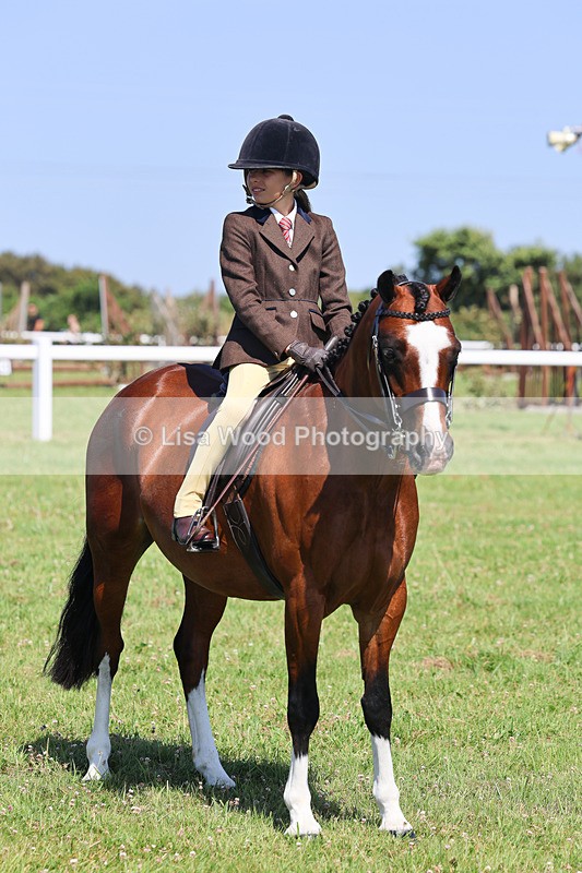 IMG_2056 - Class 34: Show Hunter Pony 153cm and under