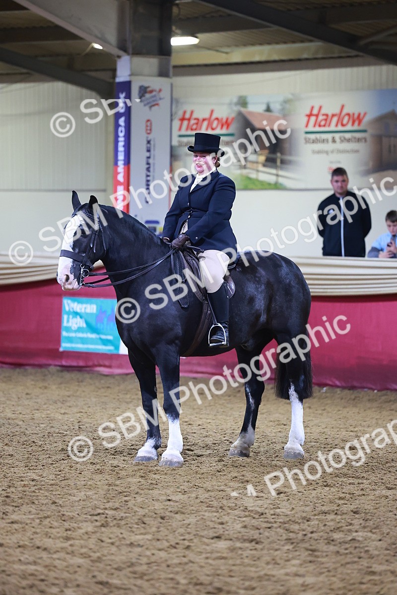 SBM_15716 - Class T - Working Veteran Champ