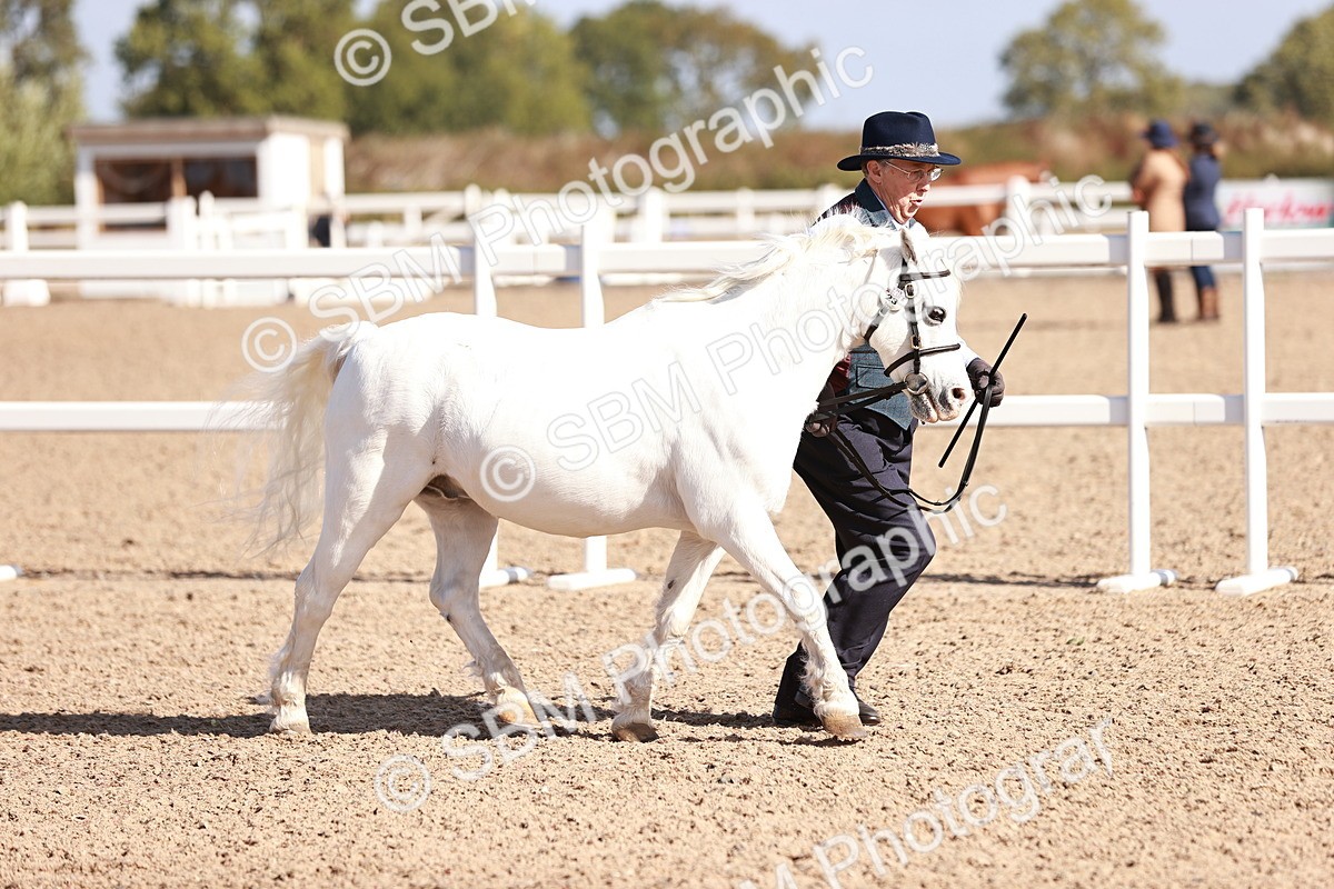 SBM_22777 - Class 705 - IH Combination 65+
