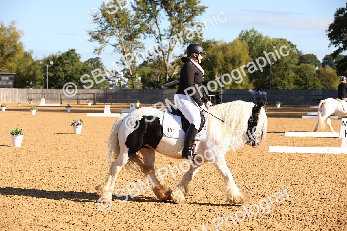 SBM_01864 - D2 Small Tour Championship Intro C