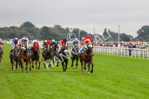 080924-Race 6-Northern Spirit-4553 - Race 6 4.35pm Hanson Springs Handicap