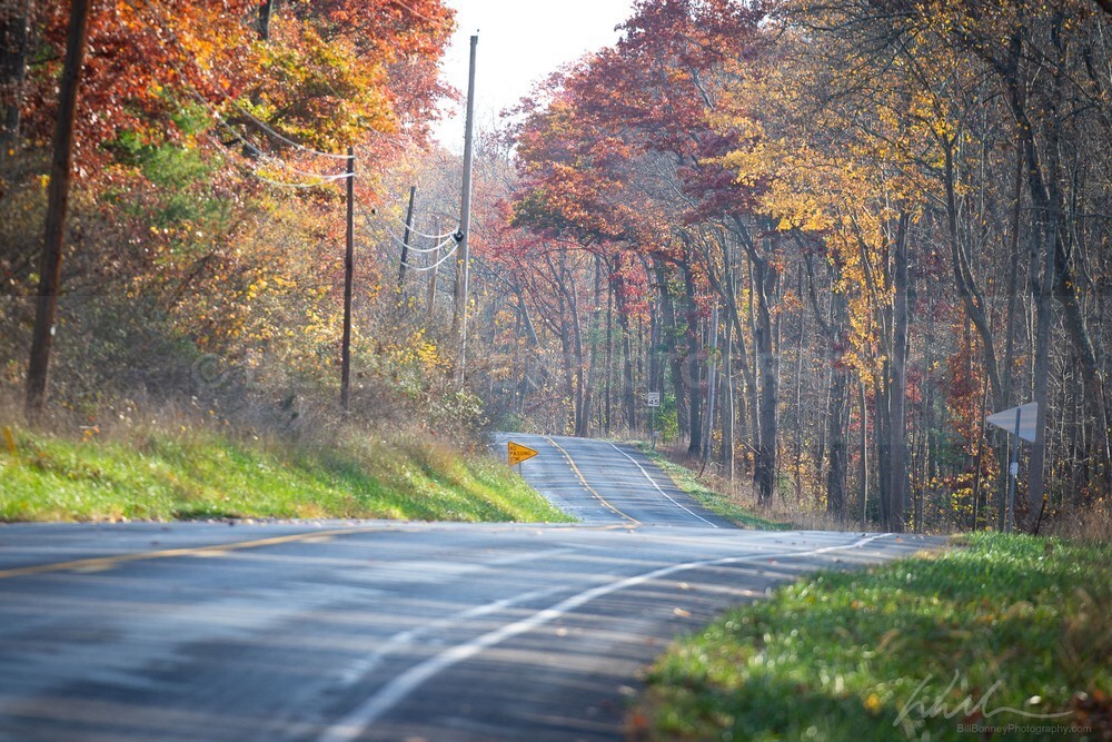 DSC_8373 - Roads