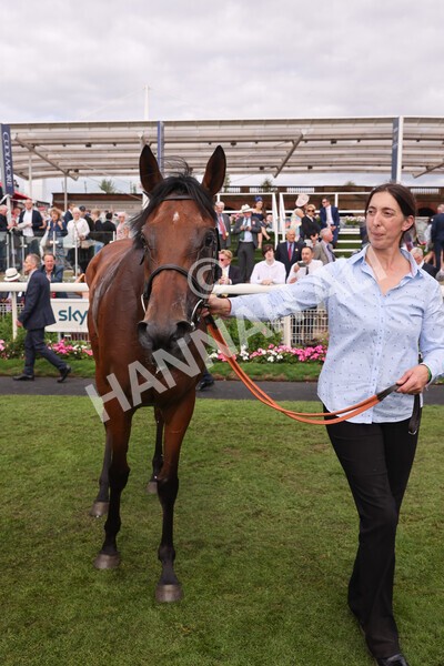 yr19082022r5-49 - Race 5 4.10pm Assured Data Protection EBF Fillies' Stakes