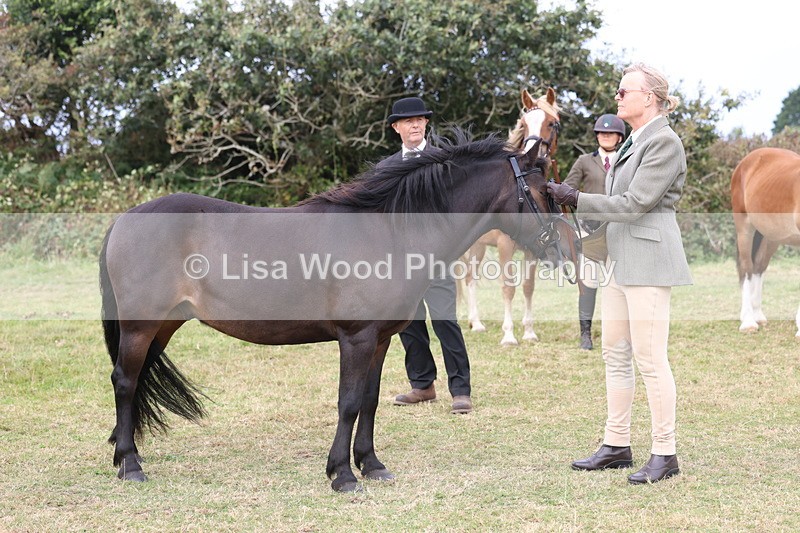 3E7A4649 - Class 16: Best Grass Kept