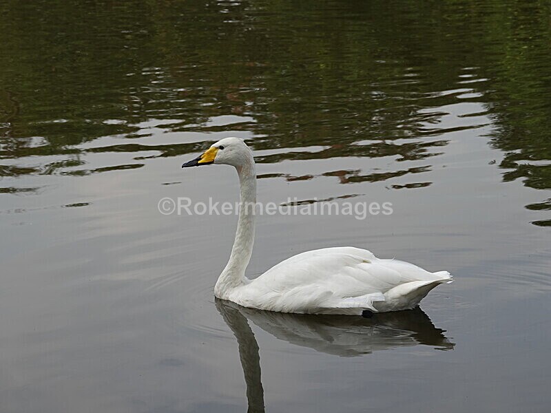 CHINA__0116 - China 2019