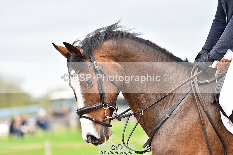 230507A-133036-08036 - Cls 47 Newcomers