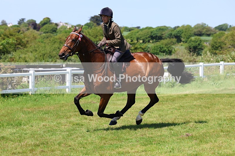3E7A8087 - Working Hunter Championship
