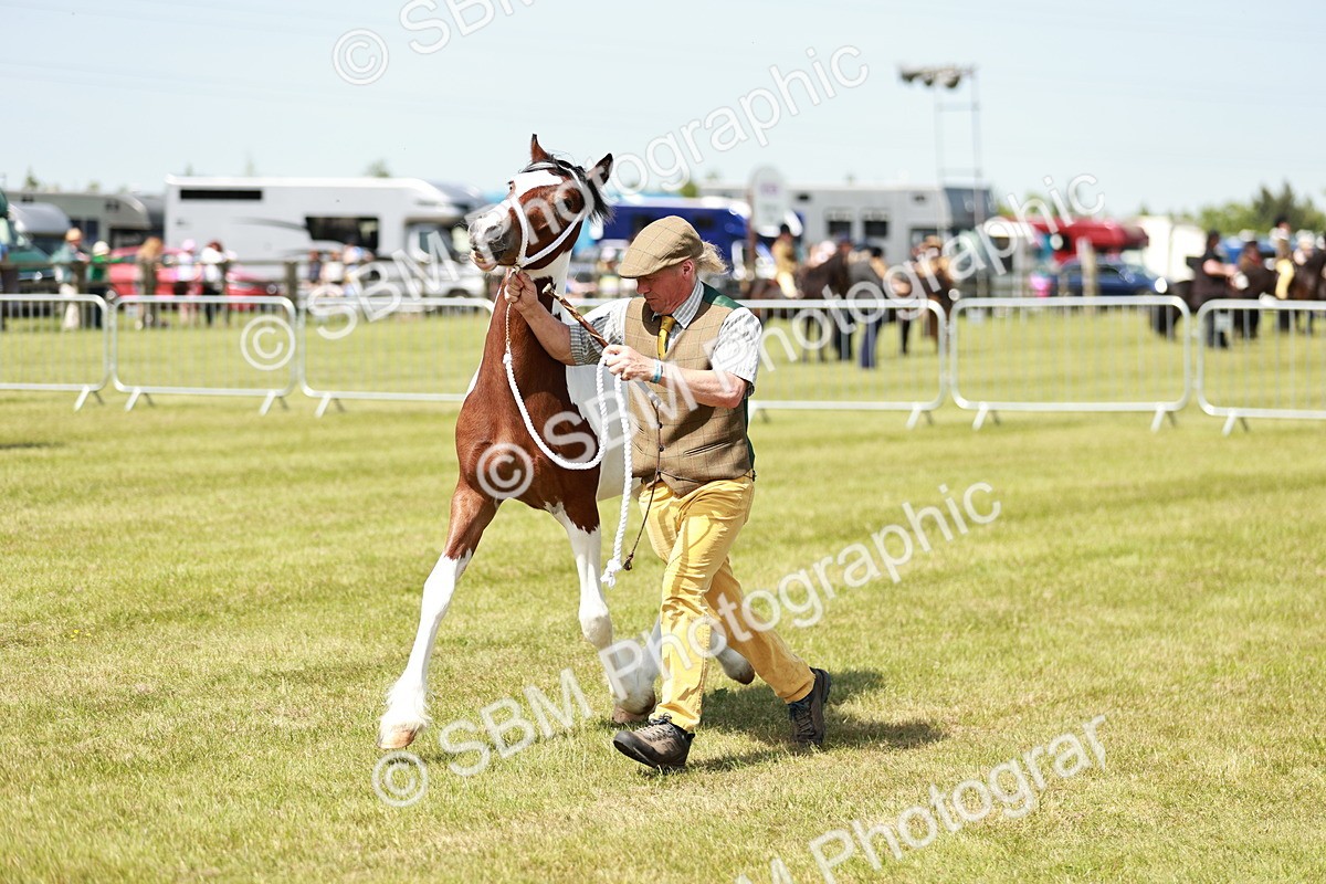 SBM_04194 - Class 39-40 - BSPA Coloured In Hand