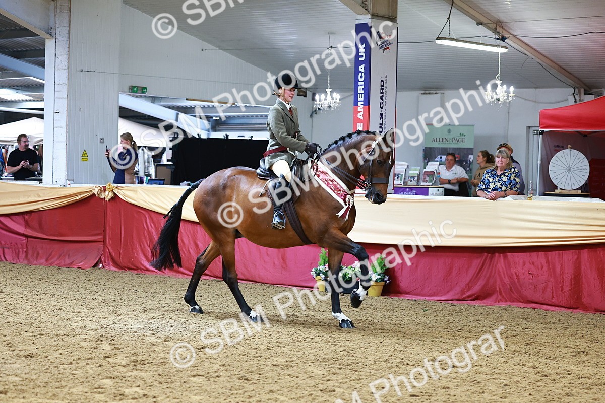 SBM_23216 - Class 905 - Supreme Final - Ridden Veteran