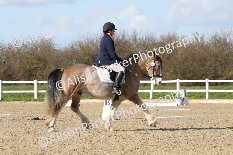 20260314-4996 - CT6 - Elementary 1