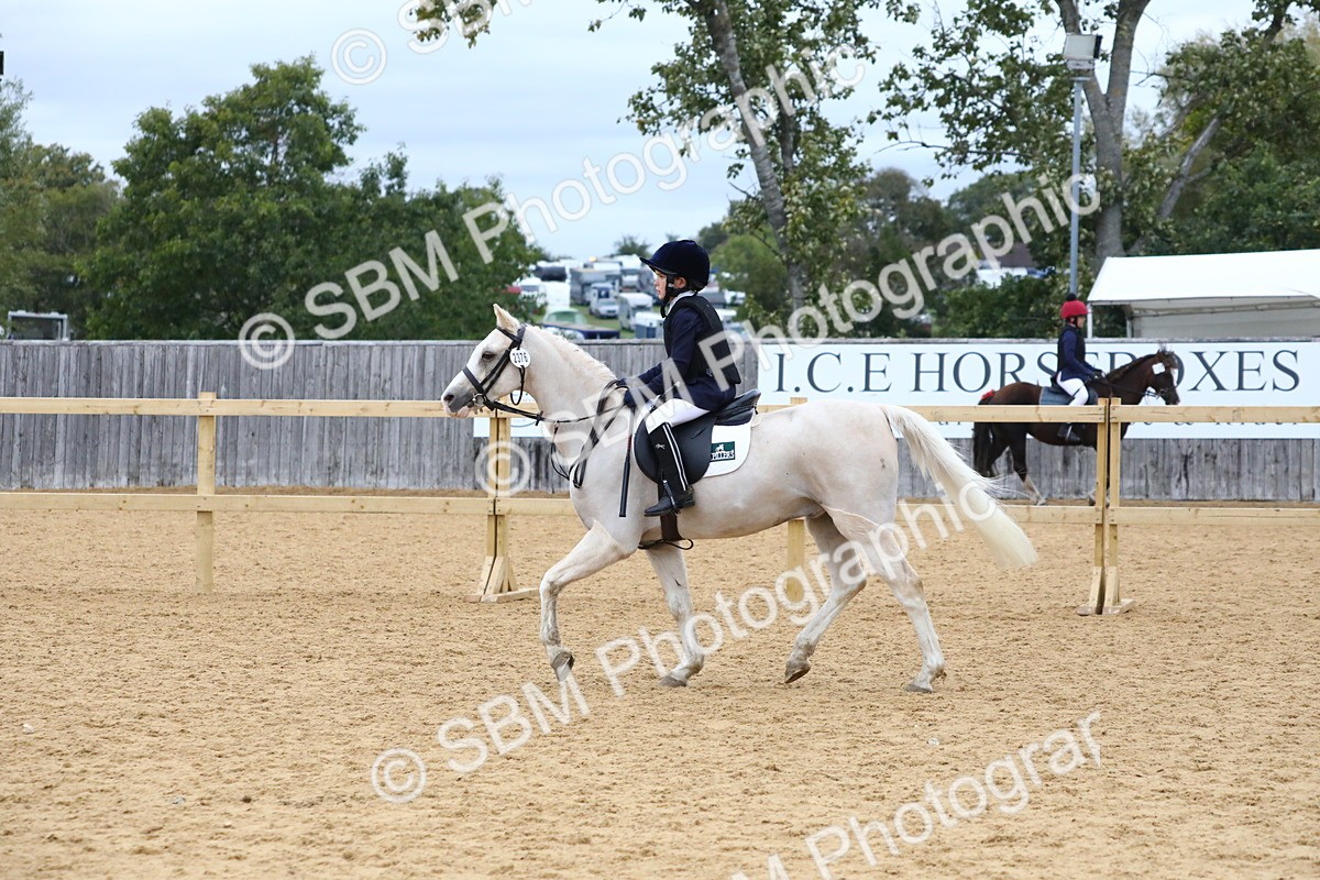 SBM_68300 - J3b - Mini Tour Junior Pony 40cm Championship