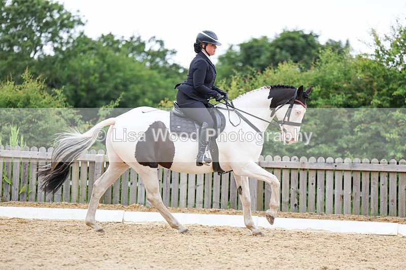 3E7A0804 - Class 6: Novice 1 2024 Section B