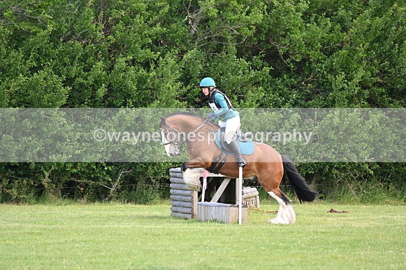 WJ6_2604 - Class 2 40cm