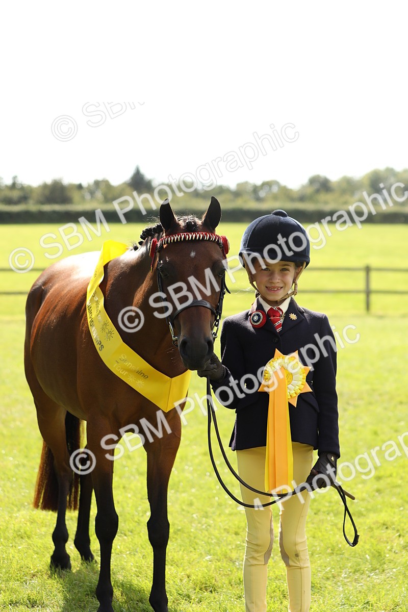 SBM_65615 - S48 - Show Pony & Show Hunter Pony In Hand