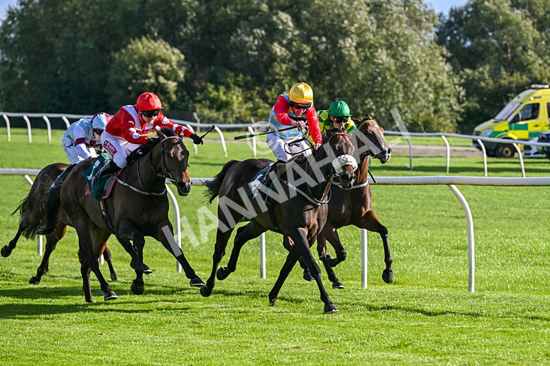 080926-Race 6-Filey Beach-3116 - Race 6 4.46pm Download The Raceday Ready App Handicap