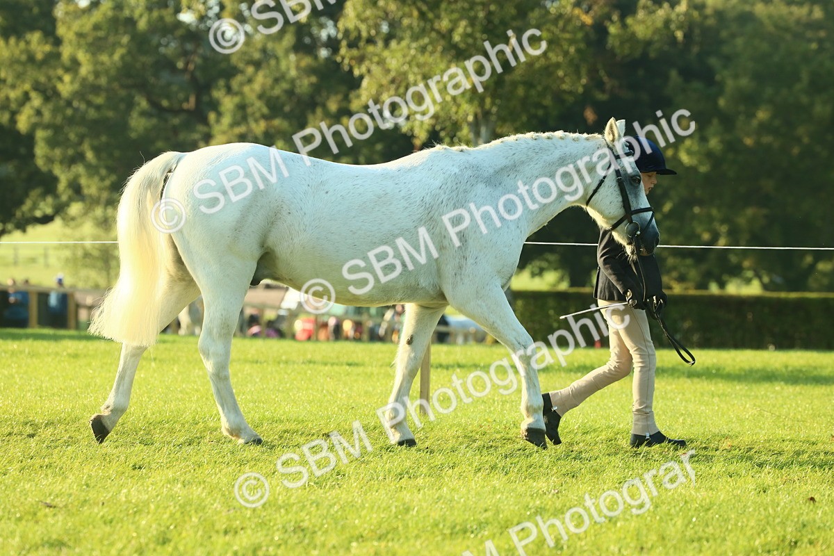 SBM_57293 - S37 - Starters In Hand Showing