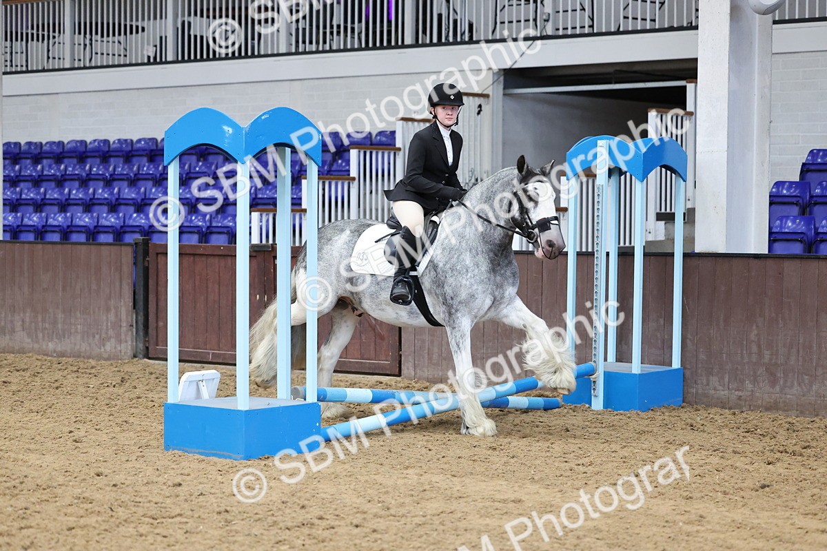 SBM_006906 - Class 1 - 40cm showjumping