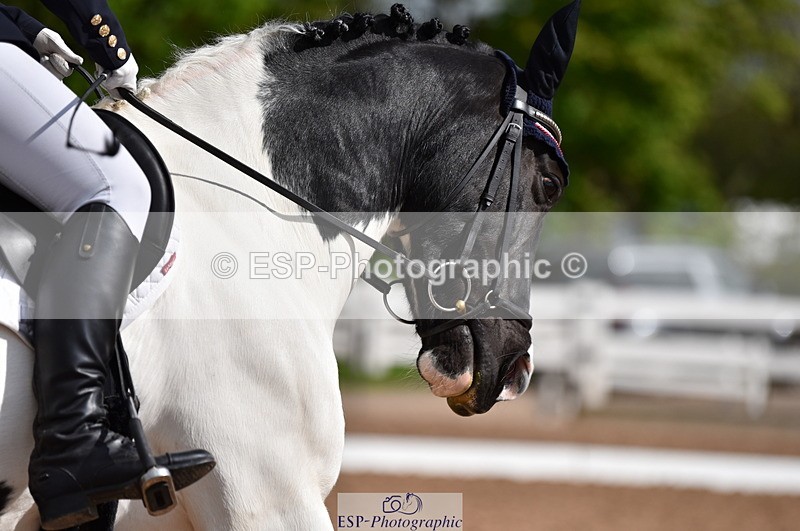 230511A-101428-00242 - BD Cls 2 Prelim 17A