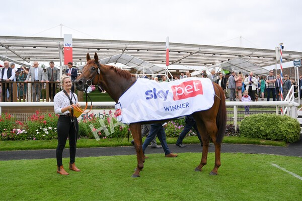 yr24072021r2-33 - Race 2 2.40pm Sky Bet Dash