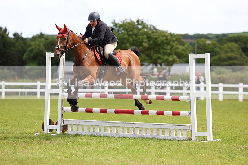 3E7A7733 - Class 13: Senior British Novice/90cm open