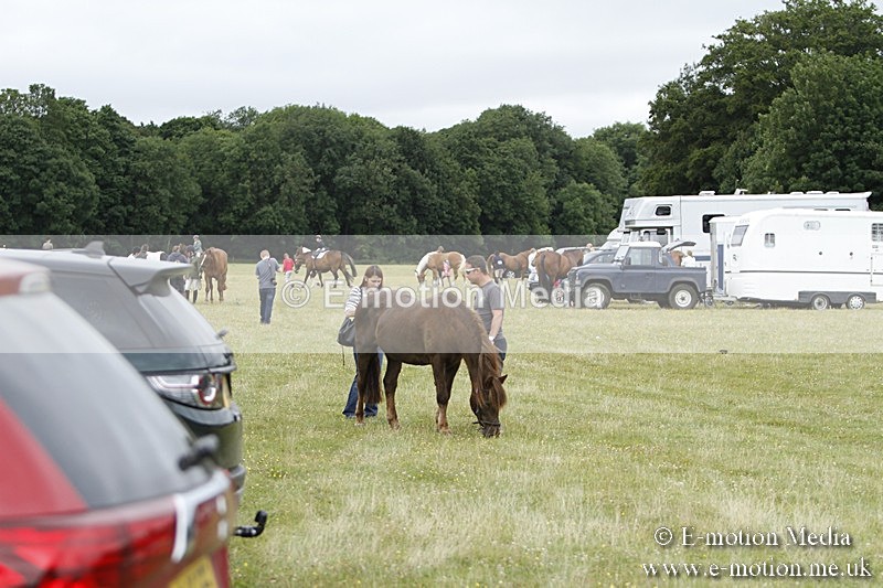 BVR160717-1271 - Caught on Camera 16/07/17
