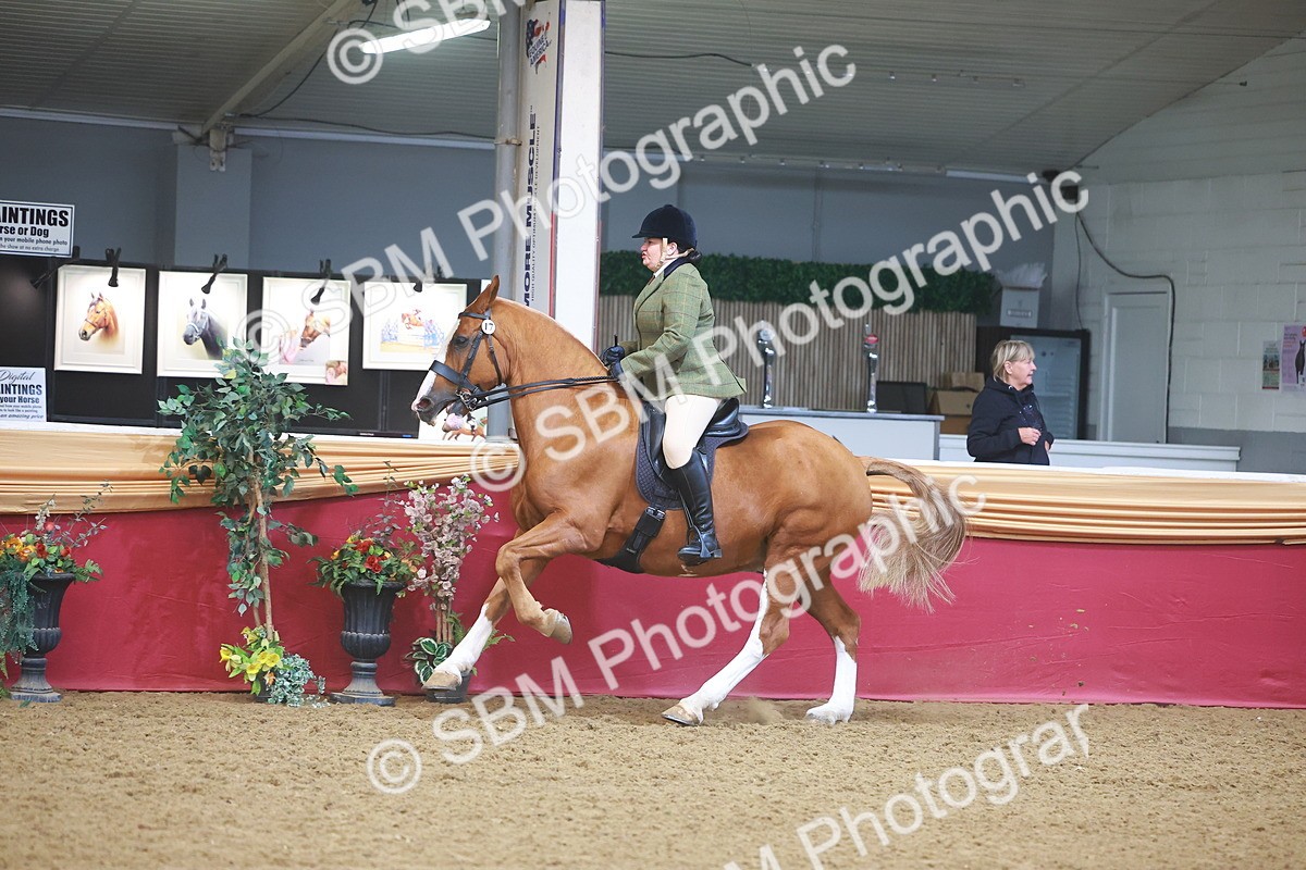 SBM_10557 - Class 103 - HOYS Veteran Qualifier - Ridden Pre Vet
