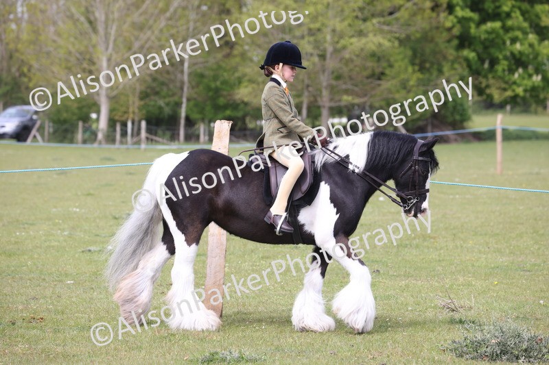20260426-2907 - Class 33 - Best Pony 14.2hh and Under