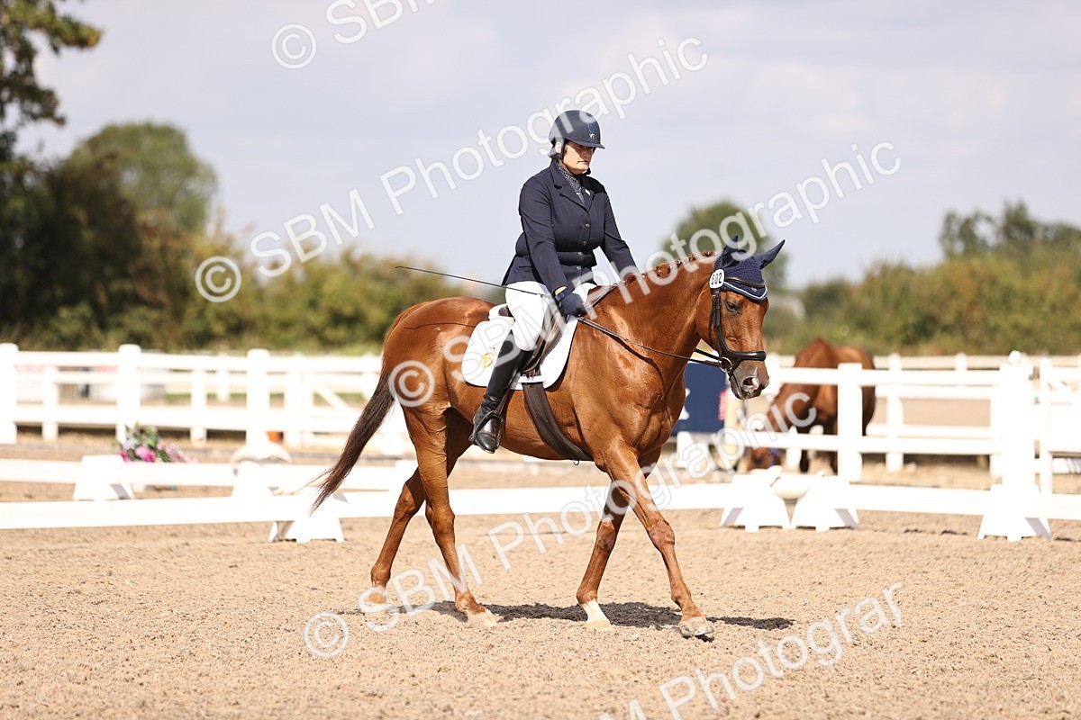 SBM_03674 - CLass 35 Intro 3